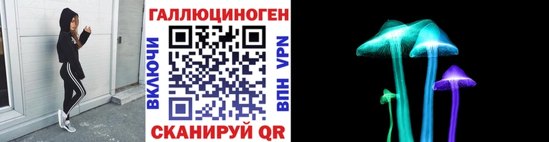 где найти Семёнов ОМГ ОМГ маркетплейс Псилоцибиновые грибы Psilocybe