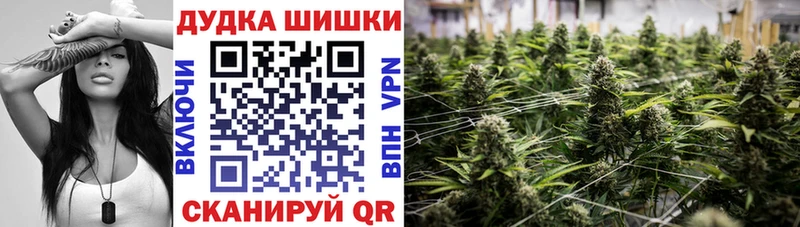 Шишки марихуана планчик  Семёнов 